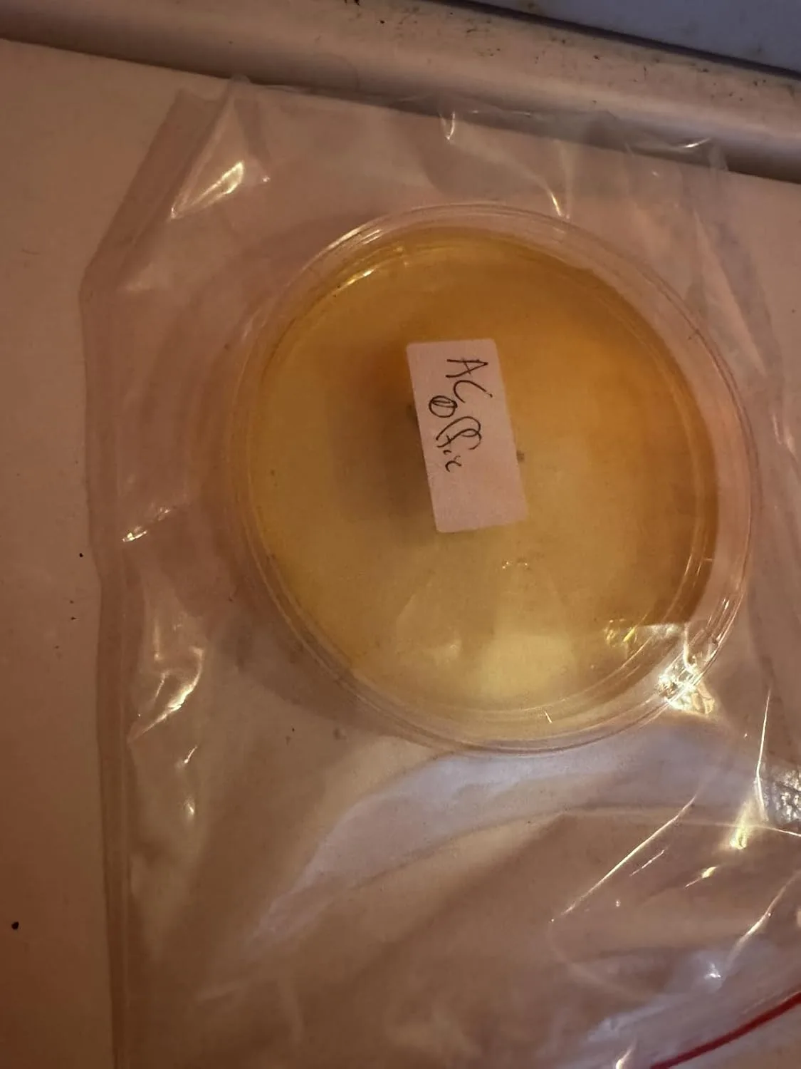 Customer photo of MERV 13 air filter held up showing thickness and density compared to standard filter
