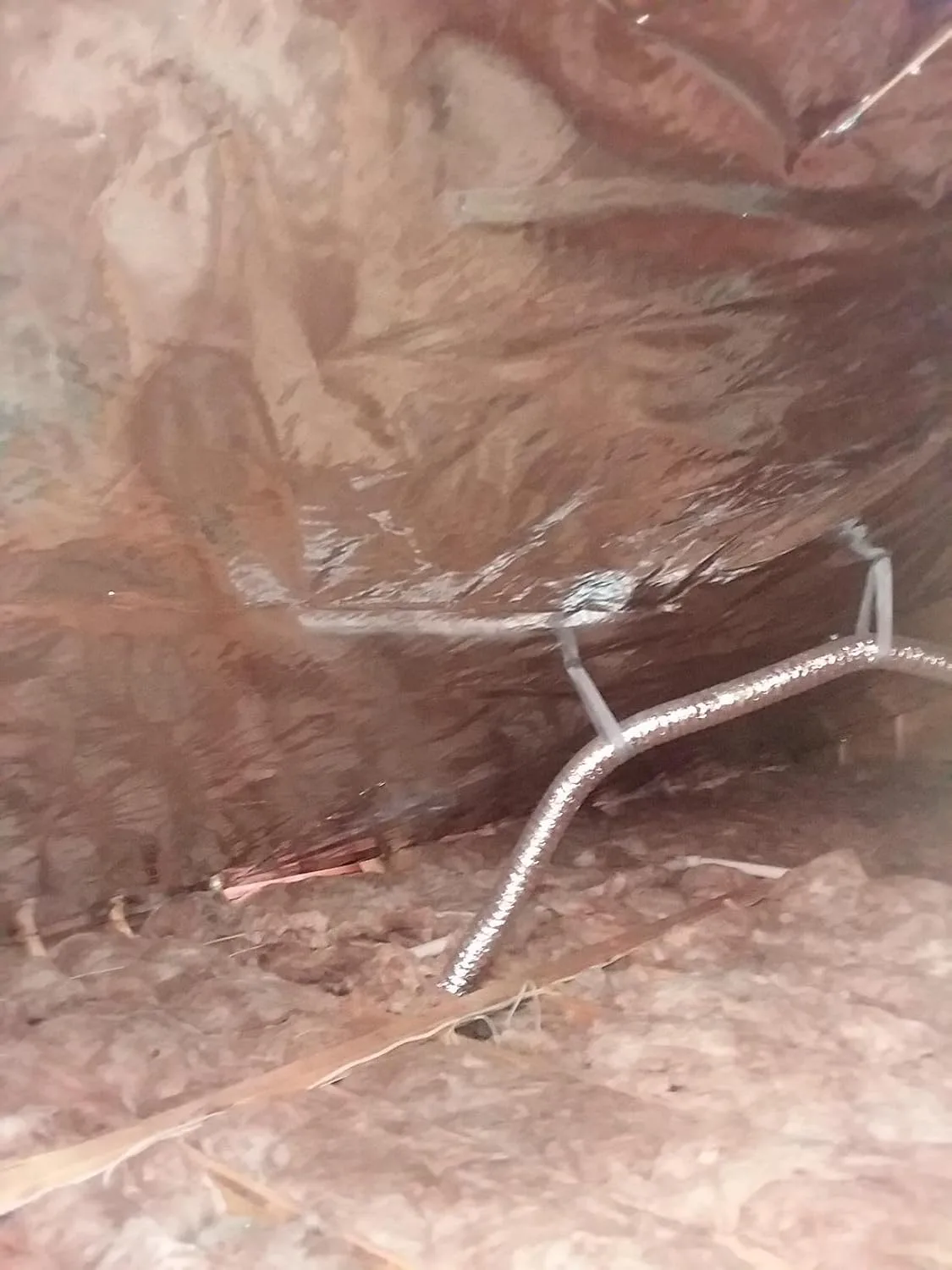 Customer review photo for Do Radiant Barriers Work in Hot Climates? My Attic Test