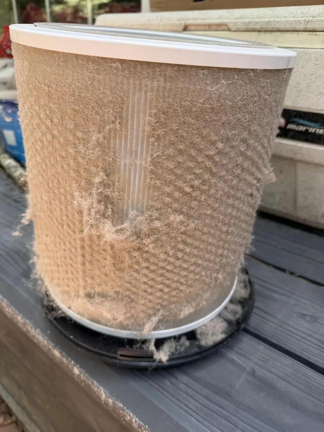 Customer review photo for Do Air Purifiers Help With Allergies? My 30-Day Test
