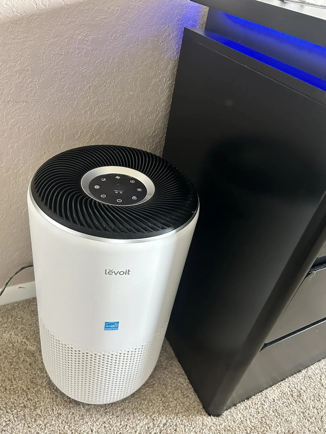 Customer review photo for Do Air Purifiers Help With Allergies? My 30-Day Test