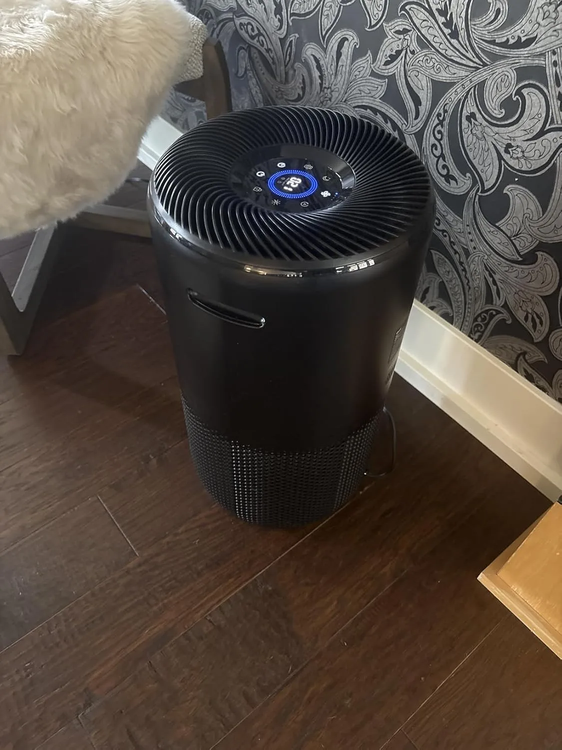 Customer review photo for Do Air Purifiers Help With Allergies? My 30-Day Test