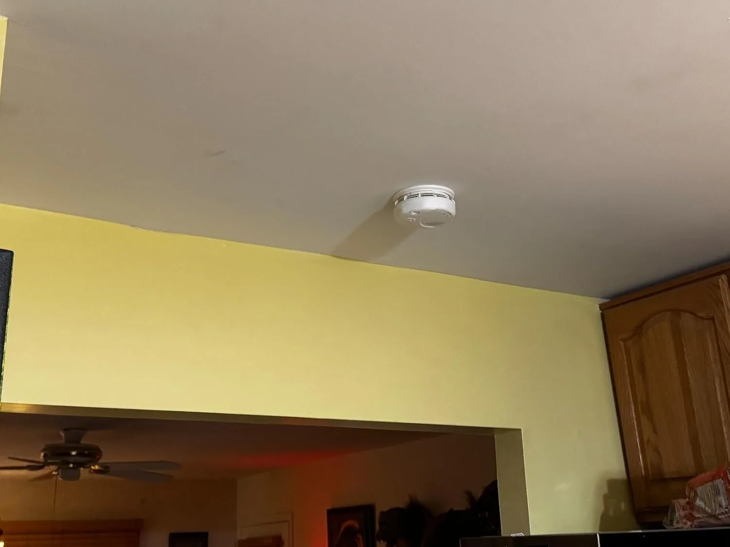 Customer review photo for Photoelectric vs Dual Sensor: Which Smoke Detector Saves Lives