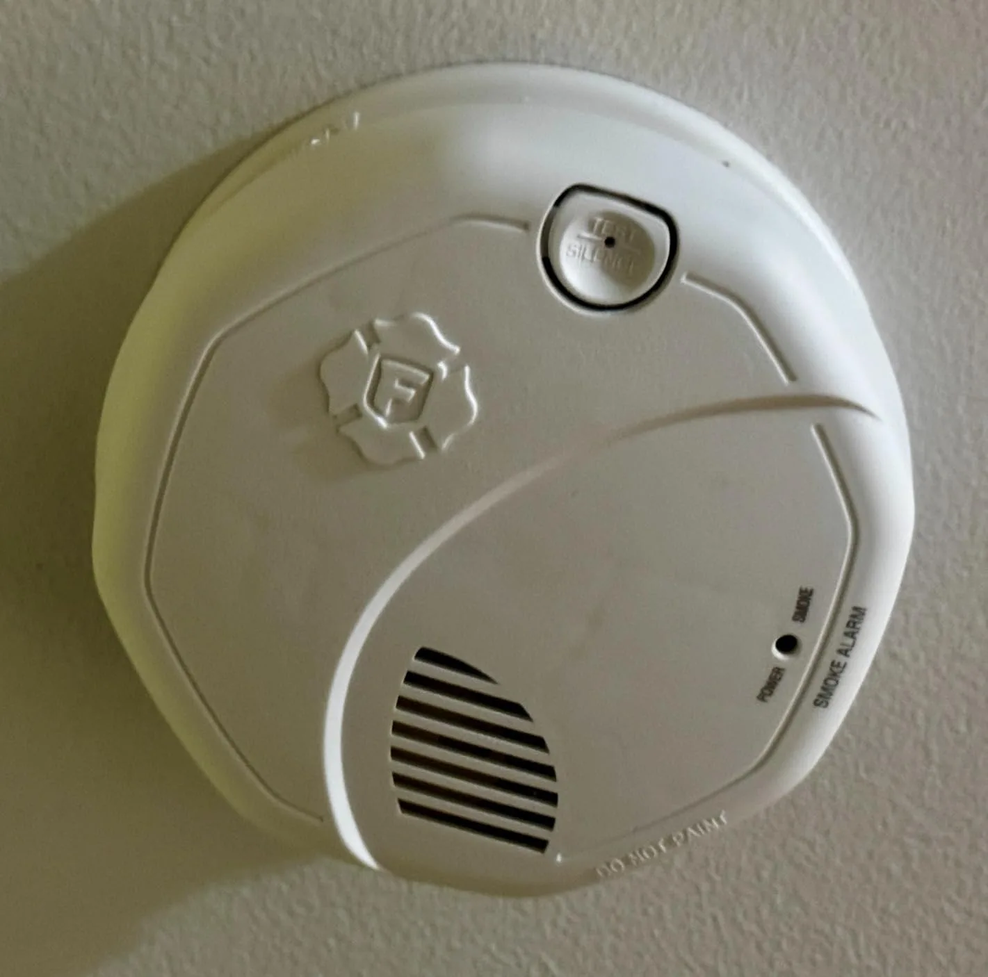Customer photo of smoke detector mounted on ceiling showing installation placement