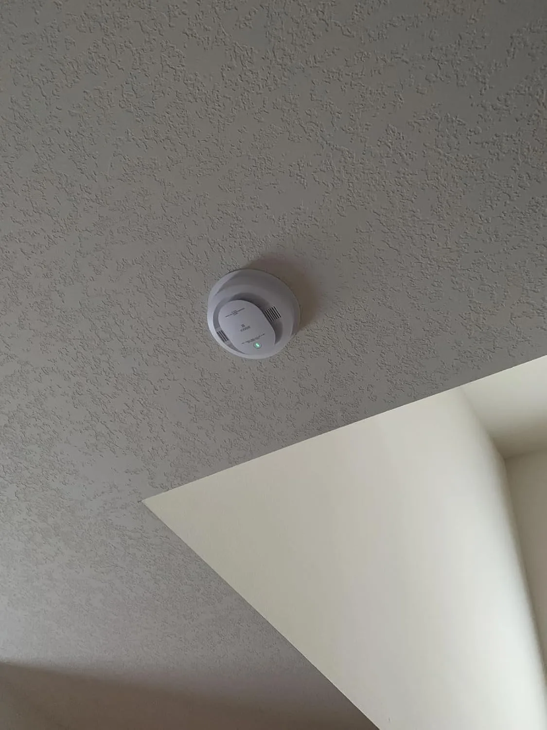 Customer review photo for The Detector Mistake That Leaves Your Family Unprotected