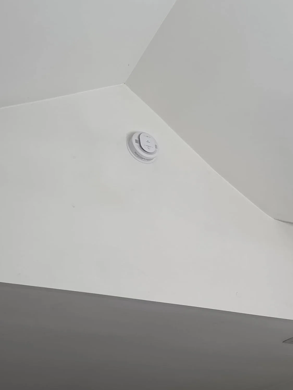 Customer review photo for The Detector Mistake That Leaves Your Family Unprotected