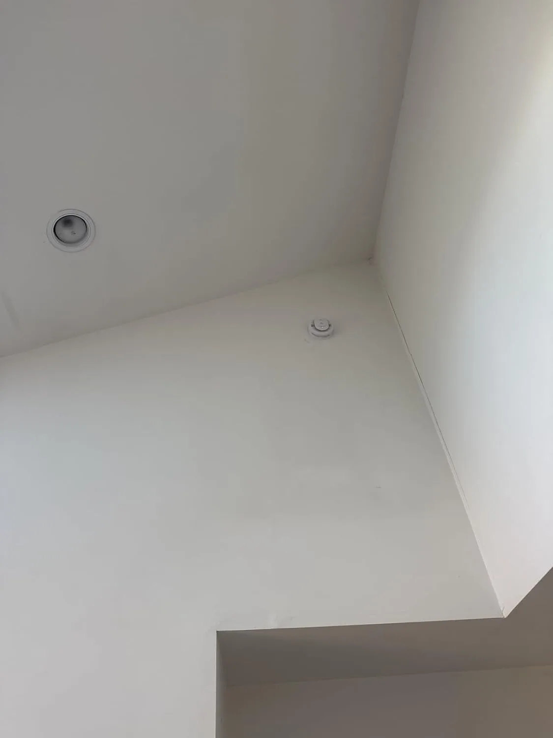Customer review photo for The Detector Mistake That Leaves Your Family Unprotected