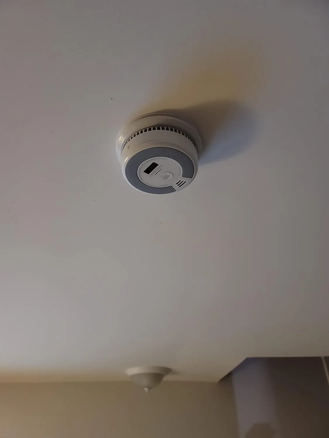 Customer photo of [describe what's visible - e.g., smoke detector mounted on ceiling, package contents, installation setup, e